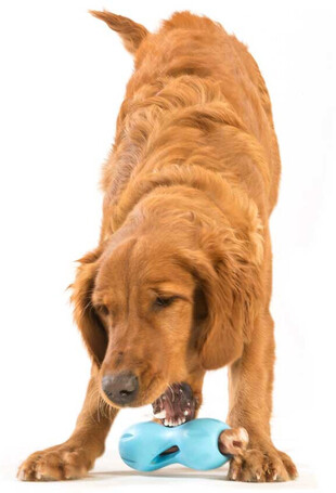 West Paw Qwizl - Jutalomfalattal tölthető rágóka