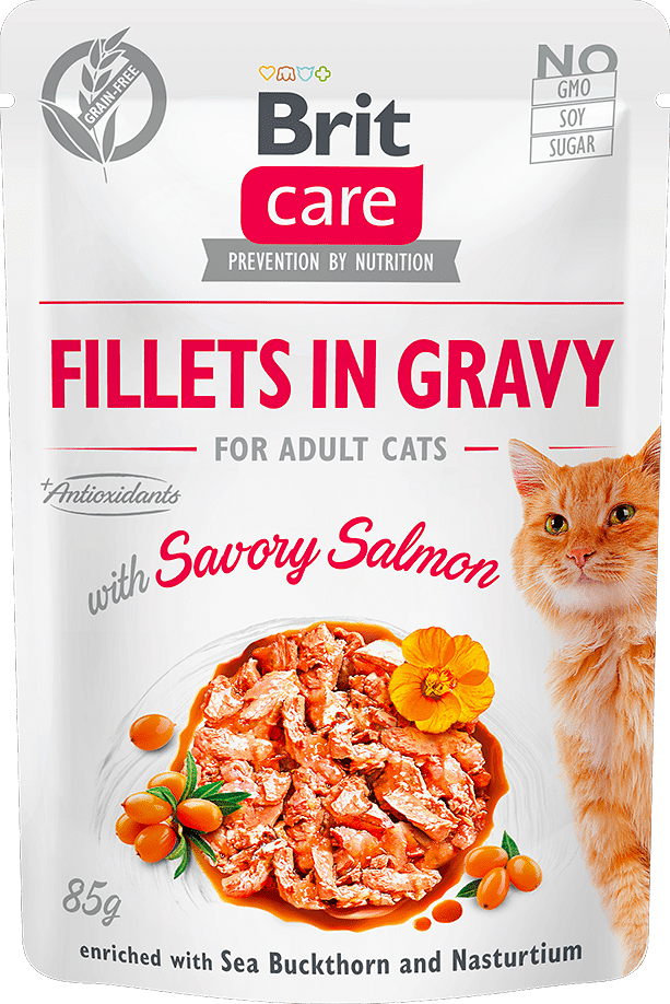 Brit Care Cat file de somon în sos 85 g
