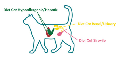Eminent Diet Cat Struvite