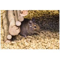 bunnyNature Bedding Cosy #3