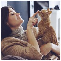 Beaphar Collier Calmant – Nyugtató hatású nyakörv macskáknak #3