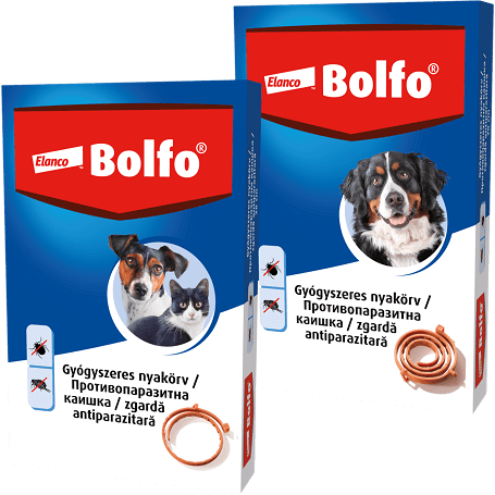 Bolfo bolha és kullancs elleni nyakörv