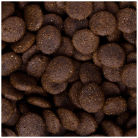 Sam's Field Adult Large Fresh Chicken & Potato #2