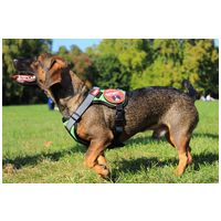 Yutipet RnD párnázott biztonsági kutyahám (Piros) #3