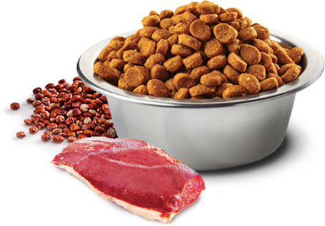 N&D Dog Quinoa Neutered Adult Medium & Maxi