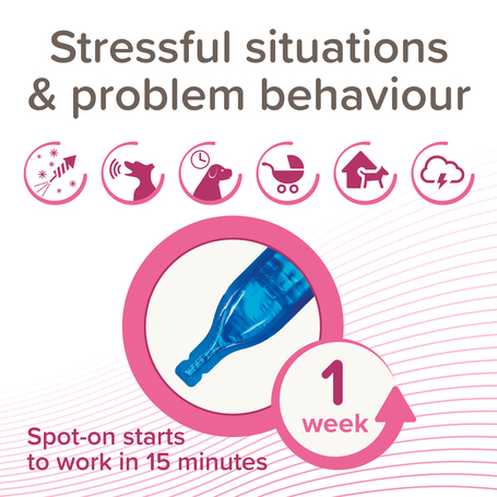 Beaphar CaniComfort feromonos spot on kutyák számára