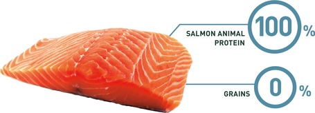 Bravery Dog Adult Medium/Large Grain Free Salmon