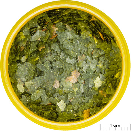 JBL ProNovo Guppy Flakes S lemezes táp guppiknak