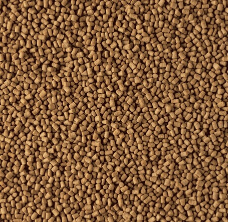 Tetra Goldfish (Energy) Sticks aranyhaleleség