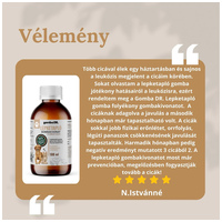 Gomba Dr. LEPKETAPLÓ folyékony gombakivonat #2