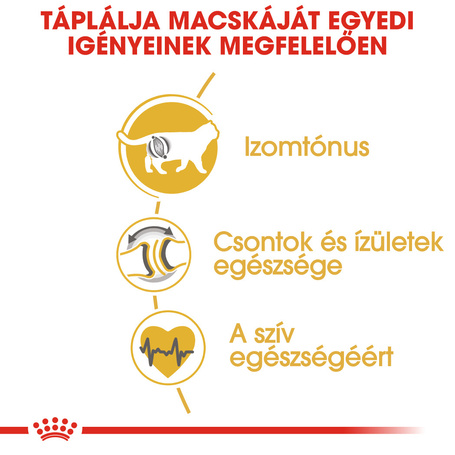 Royal Canin British Shorthair Adult - Brit rövidszőrű felnőtt macska száraz táp