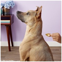 Dermoscent Essential 6 spot-on kutyáknak és kisemlősöknek #8