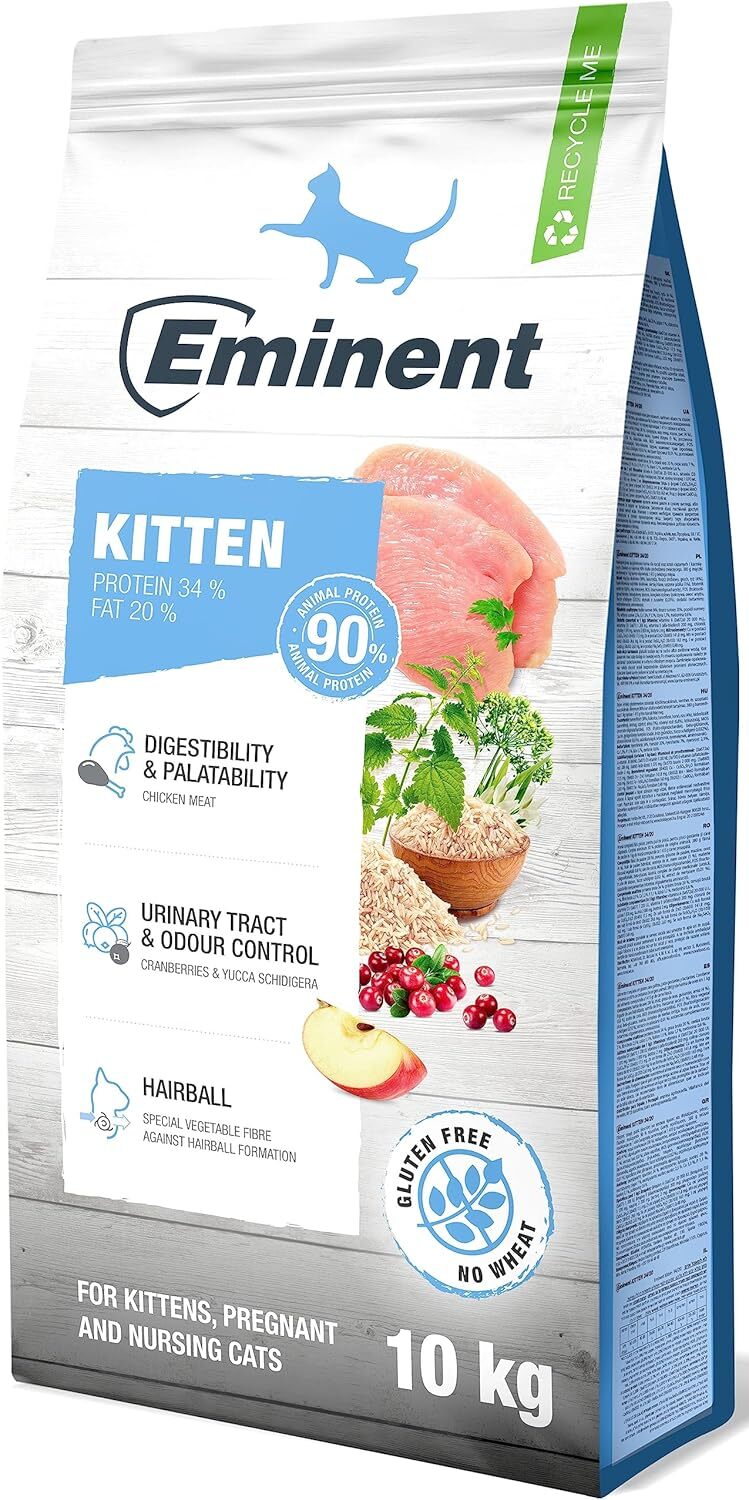 Eminent Kitten Chicken - zoom