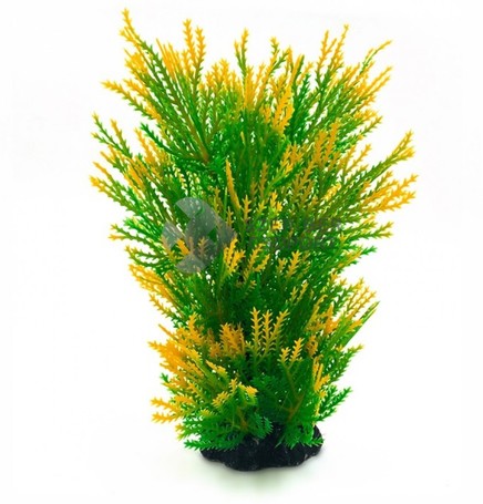 Zöldből sárgába átmenő tüskés levelű akváriumi műnövény