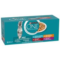 Purina One Jumbo Pack hrană pisici în sos