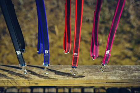 Julius-K9 Color & Gray póráz fogóval