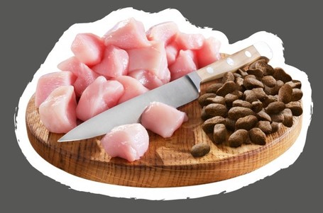 Belcando Junior Grain-Free Poultry