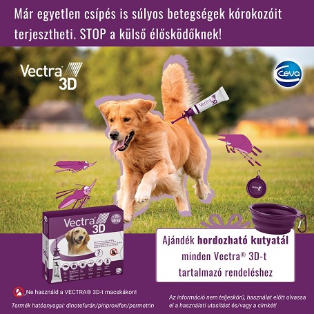 Séta, kirándulás a jó időben? Védd közben a kutyád a csípésektől – és most egy ajándék hordozható tálat is szerezhetsz! 🎁