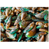 Cooka's Krill Green-Lipped Missel - Új-zélandi zöldkagylópor #2