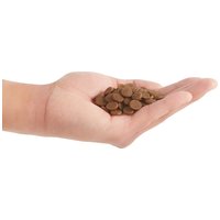 Acana Puppy & Junior #12