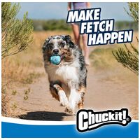 Chuckit! Med Rebounce Ball (2 db labda / szett) #5