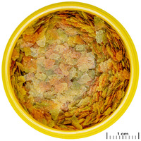 JBL ProNovo Betta Flakes S lemezes táp bettáknak #2