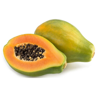 Leiky 100% papain a természetes védelem férgek ellen - Kutyáknak és macskáknak #2