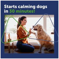 Adaptil Chew rágófalat kutyáknak #12