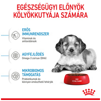 Royal Canin Medium Puppy - Közepes testű kölyök kutya száraz táp #2