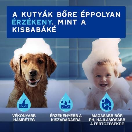 Douxo Spa fültisztító kutyáknak és macskáknak