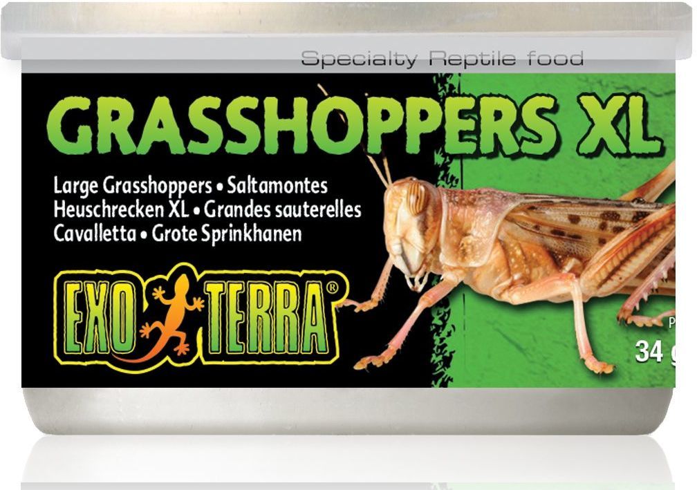 Exo Terra Grasshoppers XL - Lăcuste mari fierte moi pentru reptile - zoom