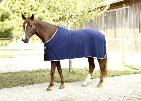 Covalliero RugBe Economic polár lótakaró