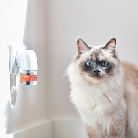 Beaphar CatComfort Excellence párologtató és utántöltő