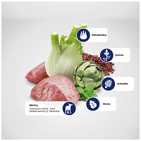 N&D Cat Grain Free Quinoa Digestion Lamb – Emésztési problémákra | Szuperprémium macskatáp #5