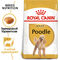 Royal Canin Poodle Adult - Uszkár felnőtt kutya száraz táp