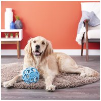 JW Hol-ee Roller labda kutyáknak #13