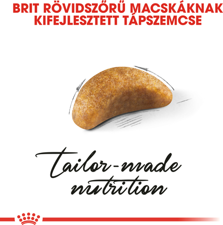 Royal Canin British Shorthair Kitten - Brit rövidszőrű kölyök macska száraz táp