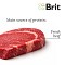 Brit Fresh Beef with Pumpkin Puppy Large Bones & Joints