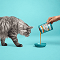 Purina ONE Hydralife Salmon snack lichid pentru pisici