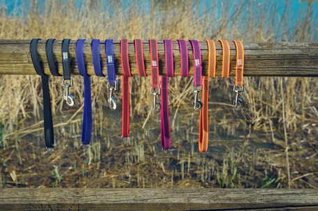 Julius-K9 Color & Gray póráz fogóval