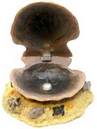 Barna kagyló levegőporlasztós akvárium dekoráció