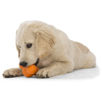 West Paw Tux - Jutalomfalattal tölthető játék #13