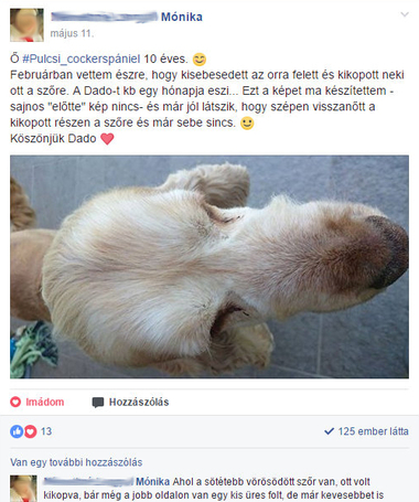 Dado Hypoallergenic Puppy Mini Fish & Rice | Hipoallergén halas táp kistestű kölyökkutyáknak