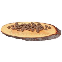 CarniLove Adult Salmon | Szuperprémium lazacos táp felnőtt kutyáknak #2