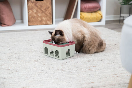 Trixie Cat Activity Rod Box l Stratégiai játék macskáknak