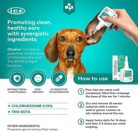 Otodine fültisztító bakteriális fülgyulladás kezelésére