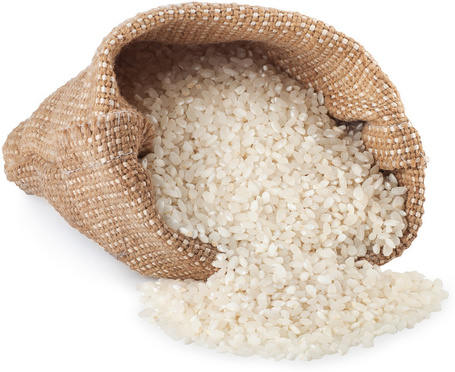 Biogance Protein Plus sampon a lágy és fényes szőrzetért | Kutyáknak és macskáknak