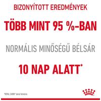 Royal Canin Digestive Care - Szószos nedves táp érzékeny emészétésű felnőtt macskák részére #9