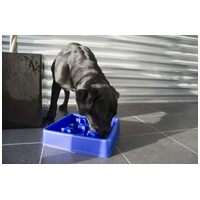 Eat Slow Live Longer Star habzsolásgátló tál #7