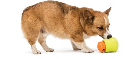 West Paw Toppl - Jutalomfalattal tölthető kutyajáték